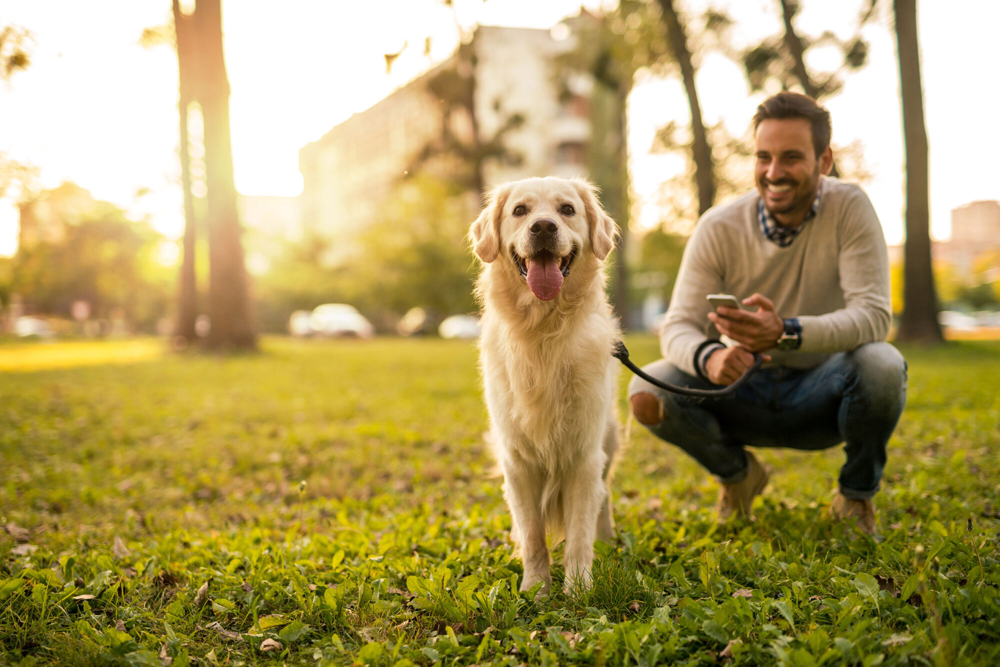 Man with golden retriever at a park in the evening